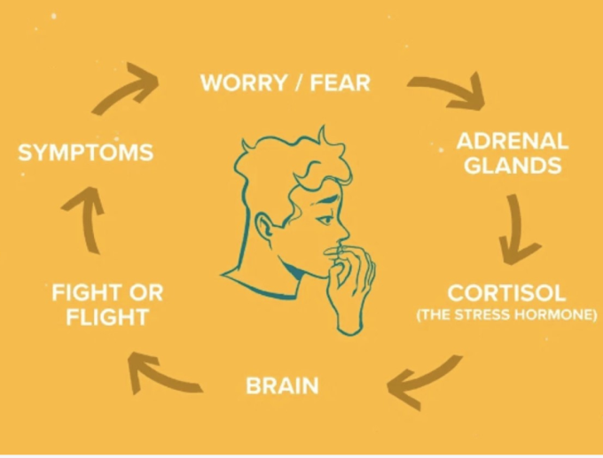 stress cycle